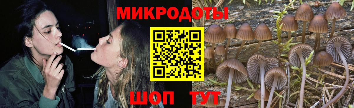 Псилоцибиновые грибы Cubensis  Вход с VPN  Обнинск 